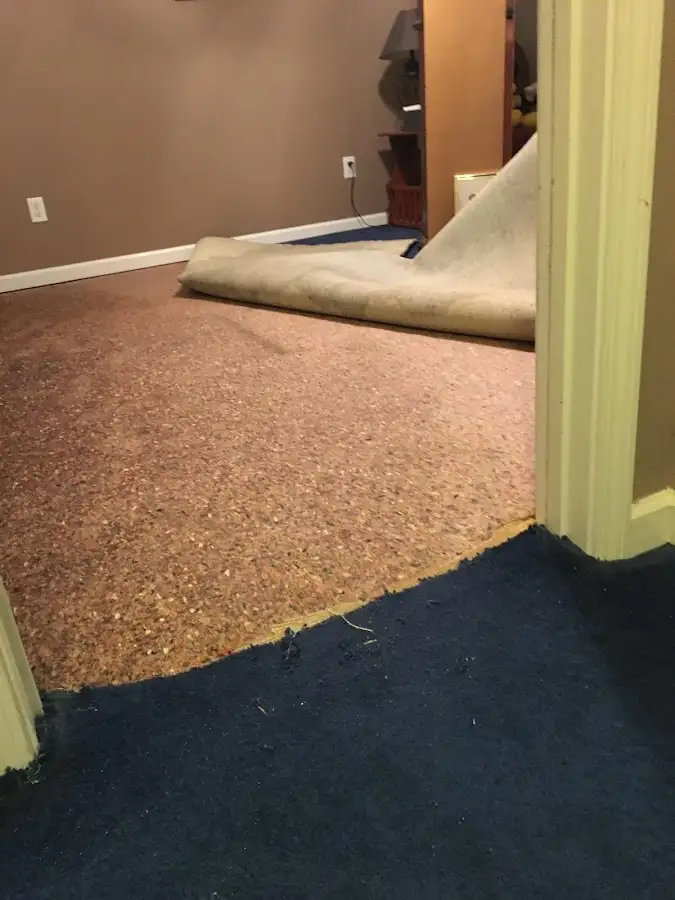 Carpet pad removal revealing water damage during Water Mitigation Services in Saginaw