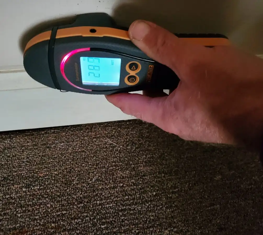 Moisture detection at baseboard during Burst Pipe Cleanup in Saginaw